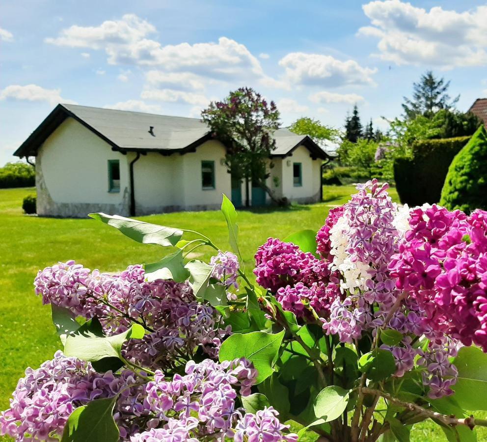 Pension Landhaus Teichgraf Wolgast Buitenkant foto